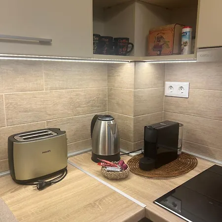 Appartement Paris Yard With Free Parking Debrecen